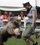 Agility, canicross et flyball