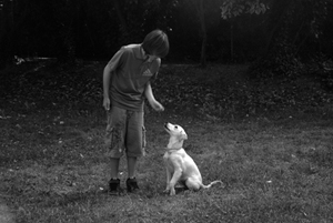 Education chiot