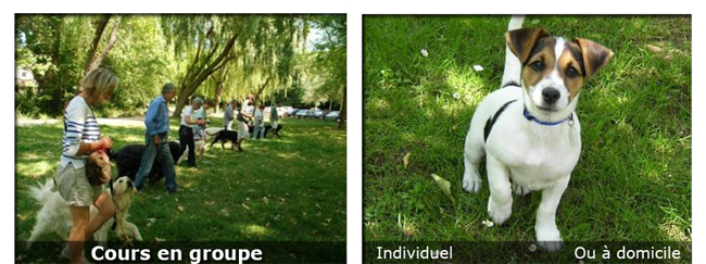 Education Canine Aix