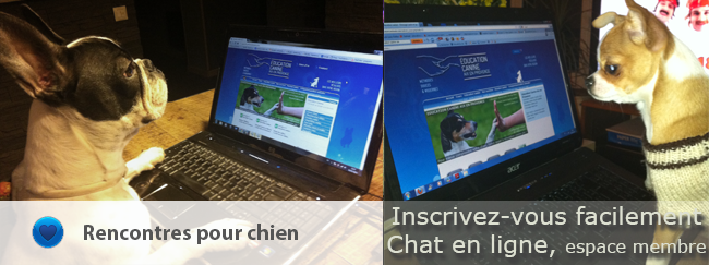 Education Canine Aix