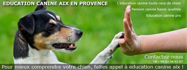 Education Canine Aix