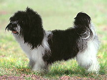 Kyi Leo 	