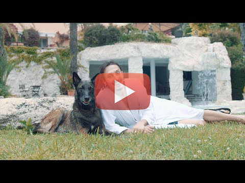 Education Canine Aix